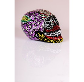 Crâne Coloré