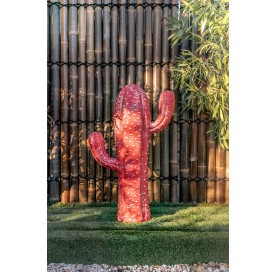 Cactus trotol 100 cm