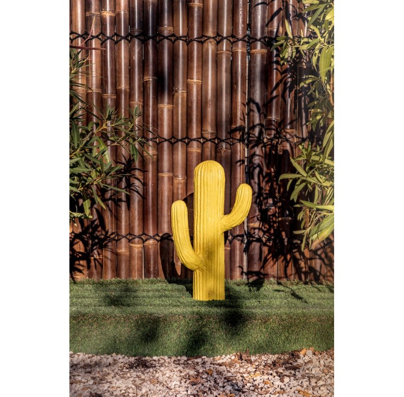 Cactus 60 cm