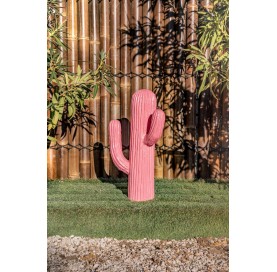 Cactus 60 cm