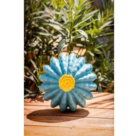 Cactus fleur bleu