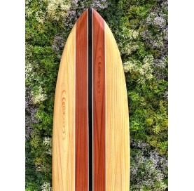 Planche de surf murale colorée