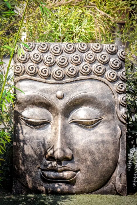 Sculpture de visage de Bouddha entourée de plantes.